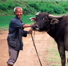 小型飼料顆粒機,農民圓夢！